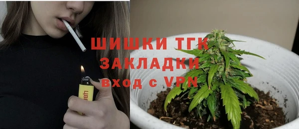 винт Гусиноозёрск