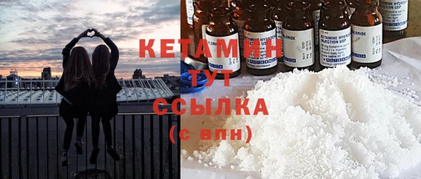 сатива Дмитриев