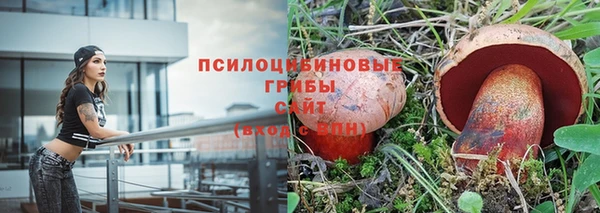 а пвп мука Гусев
