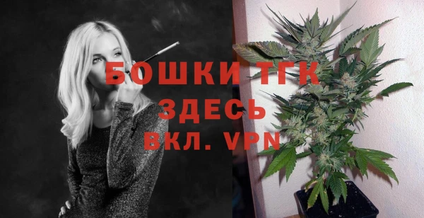 сатива Дмитриев