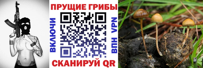 Галлюциногенные грибы ЛСД Канаш