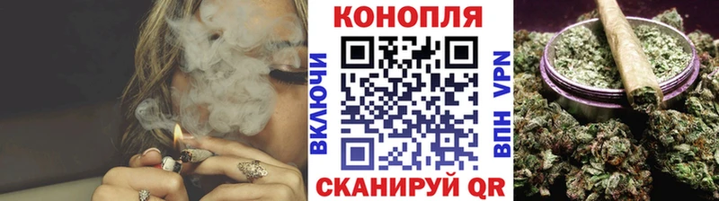 Купить где  Канаш  Бошки Шишки ГИДРОПОН 